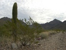 photo thumbnail #4