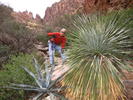 photo thumbnail #10