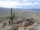 photo thumbnail #12