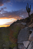 photo thumbnail #7