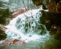 photo thumbnail #9