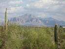 photo thumbnail #2