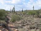photo thumbnail #3