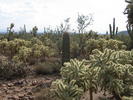 photo thumbnail #4