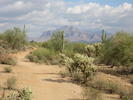 photo thumbnail #5