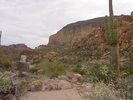 photo thumbnail #2