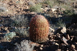 photo thumbnail #8
