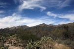 photo thumbnail #1