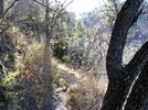 photo thumbnail #4