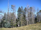 photo thumbnail #6