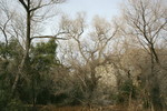 photo thumbnail #10