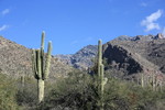 photo thumbnail #2