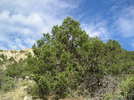 photo thumbnail #9