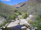 photo thumbnail #8