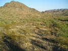 photo thumbnail #1