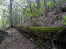 photo thumbnail #5
