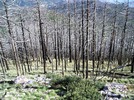 photo thumbnail #6