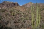 photo thumbnail #4