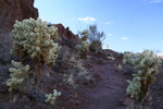 photo thumbnail #5