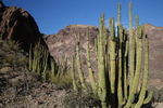 photo thumbnail #7