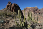 photo thumbnail #9