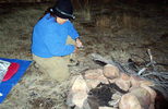 photo thumbnail #1