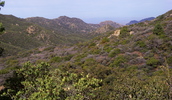 photo thumbnail #6