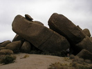 photo thumbnail #10