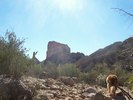 photo thumbnail #7