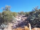 photo thumbnail #12