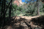 photo thumbnail #7