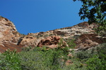 photo thumbnail #10
