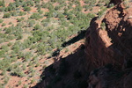 photo thumbnail #14