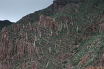 photo thumbnail #9