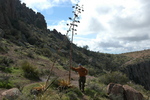 photo thumbnail #11