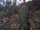 photo thumbnail #3