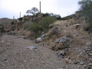 photo thumbnail #4