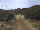 photo thumbnail #5