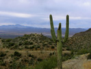 photo thumbnail #11
