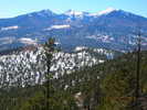 photo thumbnail #7