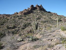 photo thumbnail #4