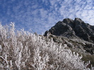 photo thumbnail #7