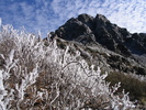 photo thumbnail #9