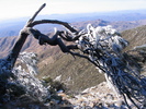 photo thumbnail #13