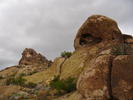 photo thumbnail #10