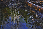 photo thumbnail #8
