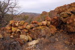 photo thumbnail #1