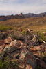 photo thumbnail #2