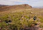 photo thumbnail #3
