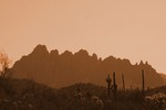 photo thumbnail #1